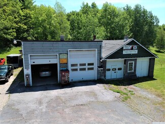 Plus de détails pour 908 County Route 17, Jewett, NY - Local commercial à vendre