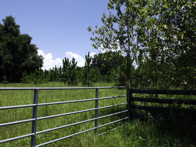 Myrtle Lake Ave, Fruitland Park, FL à vendre - Photo principale – Image 2 sur 21