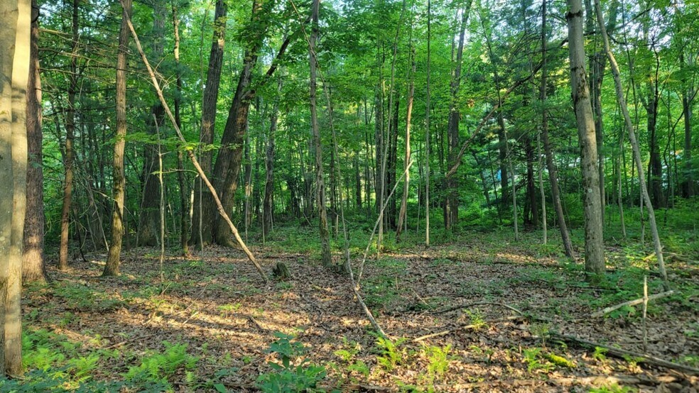 Route 322 Hwy, Woodland, PA à vendre - Autre – Image 3 sur 5