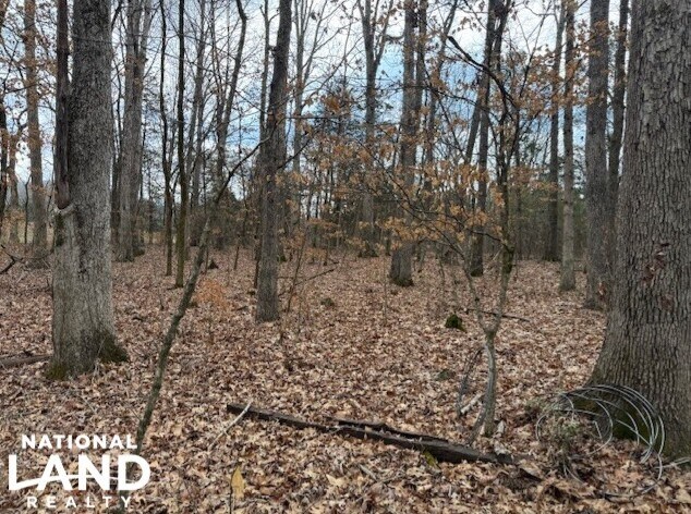 1351A Old Water Works Rd SW, Fort Payne, AL à vendre - Aérien – Image 3 sur 18