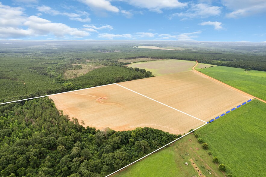 1 Old Stage rd, Repton, AL à vendre - Photo de l’immeuble – Image 1 sur 19
