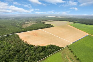 Plus de détails pour 1 Old Stage rd, Repton, AL - Terrain à vendre