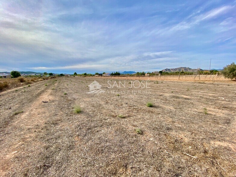 Terrain dans Aspe, Alicante à vendre - Aérien – Image 2 sur 5