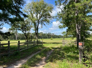 Plus de détails pour 18288 FM 1774, Plantersville, TX - Terrain à vendre