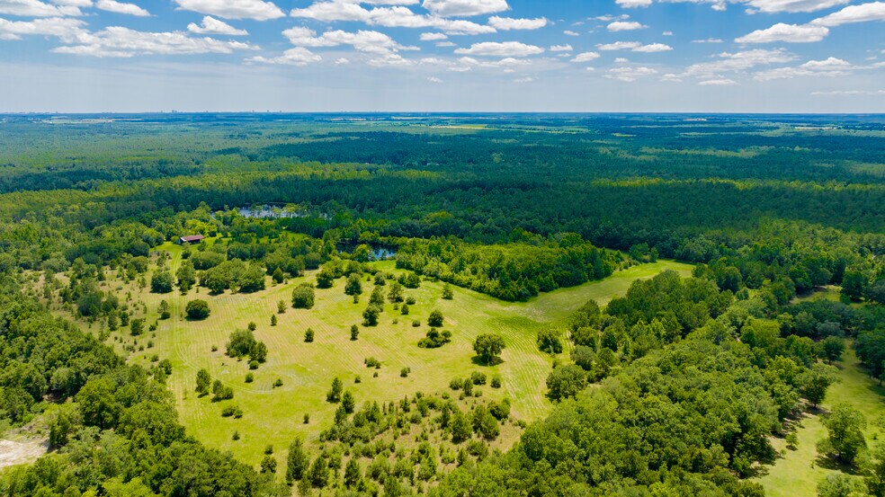 17913 Lake Rd, Seminole, AL à vendre - Photo de l’immeuble – Image 2 sur 12