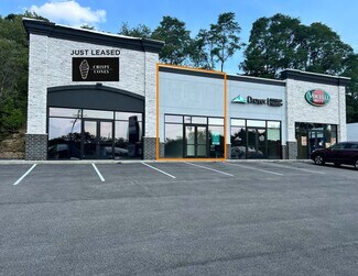 Plus de détails pour 4906 William Flynn Hwy, Allison Park, PA - Local commercial à louer