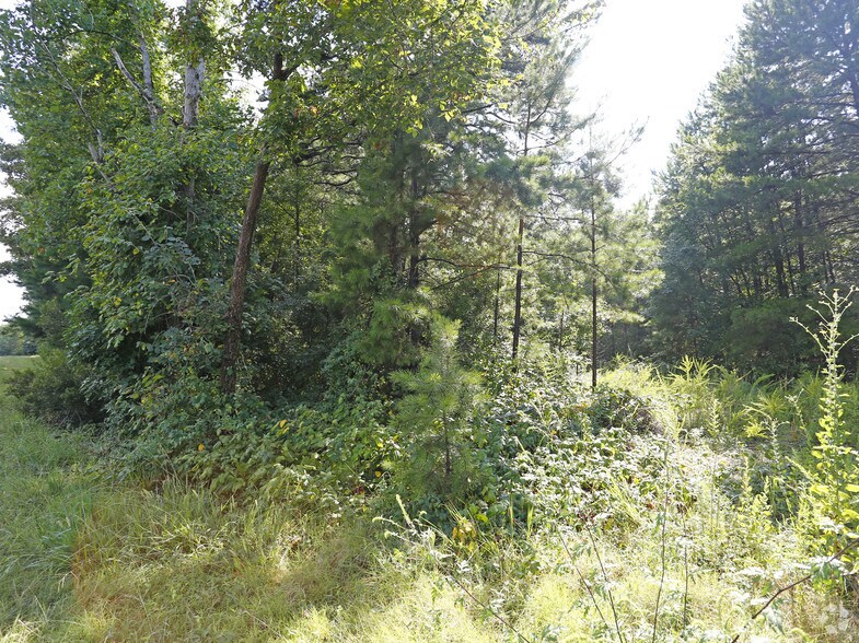 16265 Statesville Rd, Huntersville, NC à vendre - Photo de l’immeuble – Image 3 sur 5