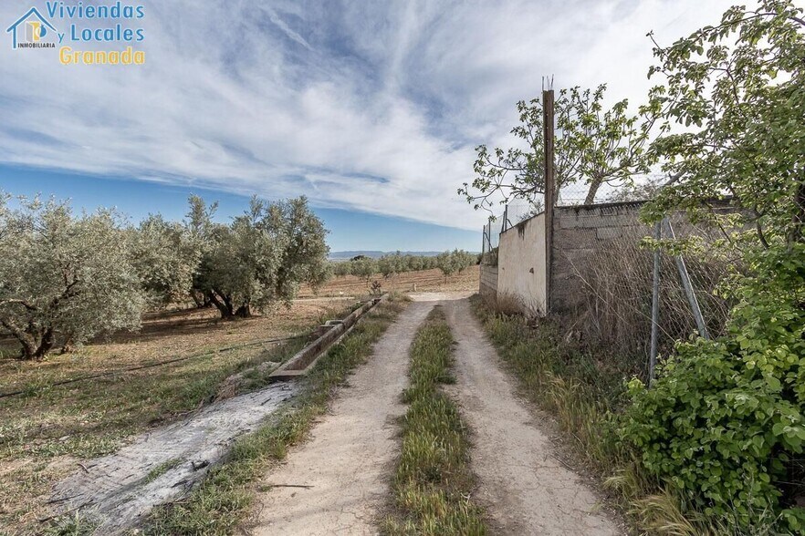 Pago de, Albolote, Granada à vendre - Photo de l’immeuble – Image 3 sur 14