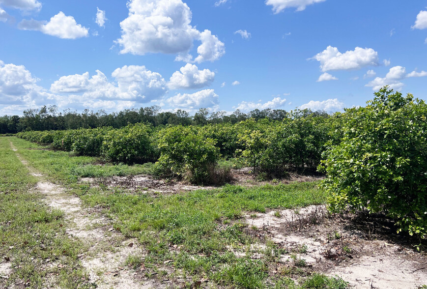 Orange Avenue Extension ave, Fort Pierce, FL à vendre - Autre – Image 3 sur 6