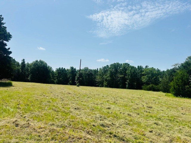 16963 Interstate 45 N, Willis, TX à vendre - Autre – Image 2 sur 21