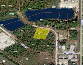 Plus de détails pour 10271 Pheasant Blvd, Punta Gorda, FL - Terrain à vendre