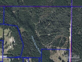 Plus de détails pour Walther Rd, Milton, AL - Terrain à vendre