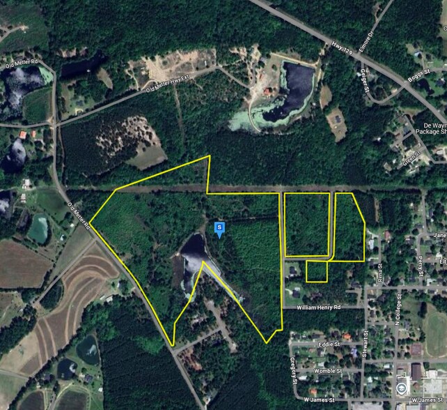 2927 Old Claxton- Metter Hwy, Claxton, GA à vendre - Photo principale – Image 1 sur 3