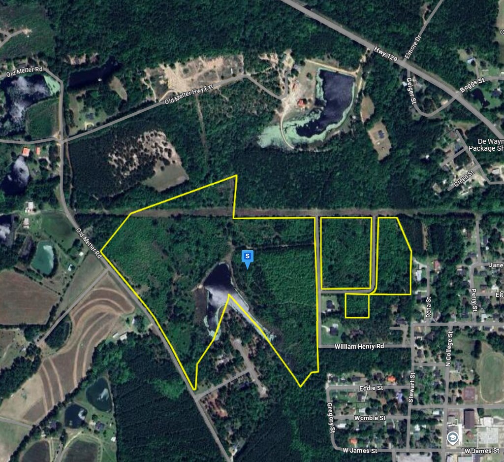 2927 Old Claxton- Metter Hwy, Claxton, GA à vendre Photo principale– Image 1 sur 4
