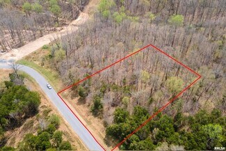 Plus de détails pour TBD Clifty Ln, Goreville, IL - Terrain à vendre