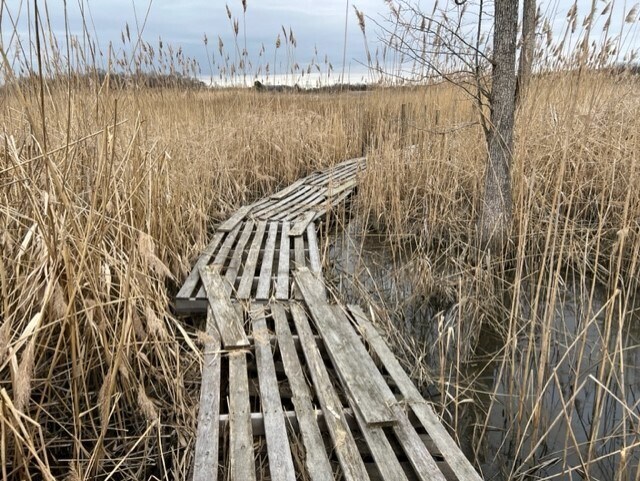 4298 McColley Rd, Milford, DE à vendre Photo principale– Image 1 sur 7