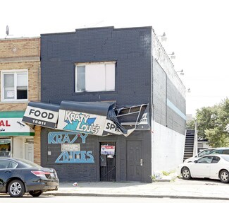 Plus de détails pour 15811-15817 W Warren Ave, Detroit, MI - Local commercial à vendre