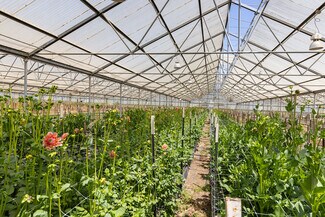 Plus de détails pour 4288 Bodega Ave, Petaluma, CA - Spécialisé à vendre