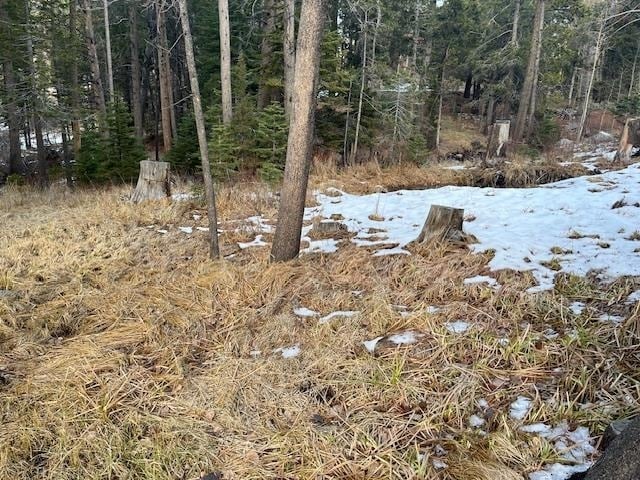 799 Minaret Rd, June Lake, CA à vendre - Autre – Image 3 sur 4