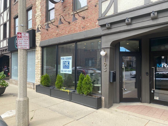 193 N Marion St, Oak Park, IL à louer - Photo de l’immeuble – Image 2 sur 9