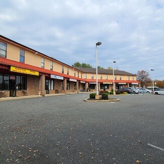 Plus de détails pour 1150 N Delsea Dr, Westville, NJ - Local commercial à louer