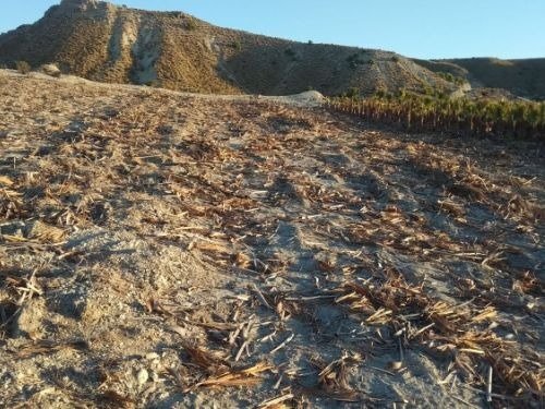 Terrain dans Fortuna, Murcia à vendre - Plan de site – Image 3 sur 7