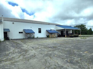 Plus de détails pour 225-227 East Ave, Albion, NY - Industriel/Logistique à louer