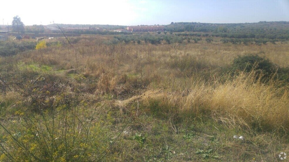 Terrain dans Cabanillas del Campo, Guadalajara à vendre - Photo principale – Image 1 sur 1