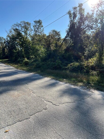 County Road 690, Webster, FL à vendre - Autre – Image 3 sur 4