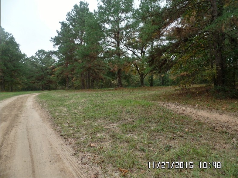 12485 Hwy 105 W, Conroe, TX à louer - Photo de l’immeuble – Image 3 sur 38