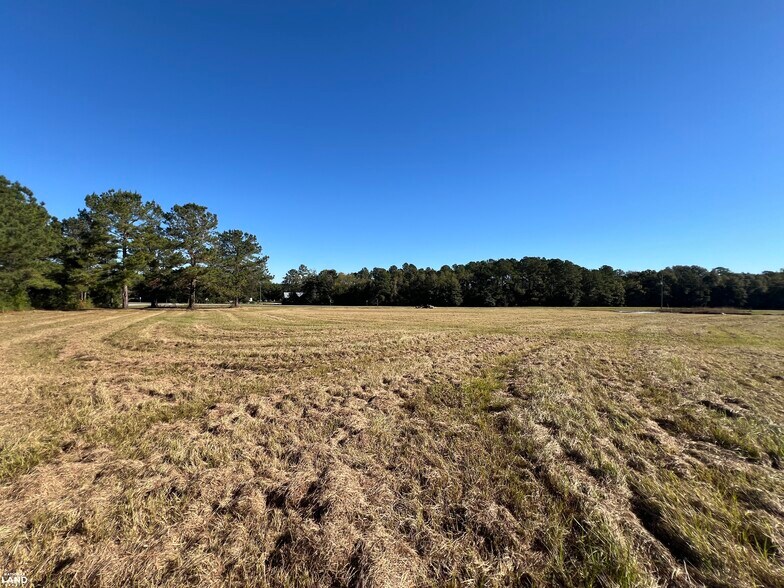 0 Tallahassee Highway, Attapulgus, GA à vendre - Autre – Image 2 sur 10