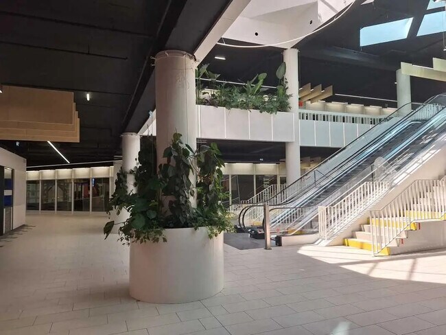 Plus de détails pour Local commercial à louer