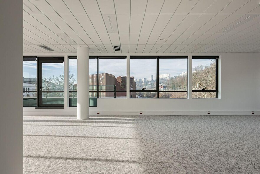 25-27 Rue Joannès Carret, Lyon à vendre - Photo intérieure – Image 2 sur 12
