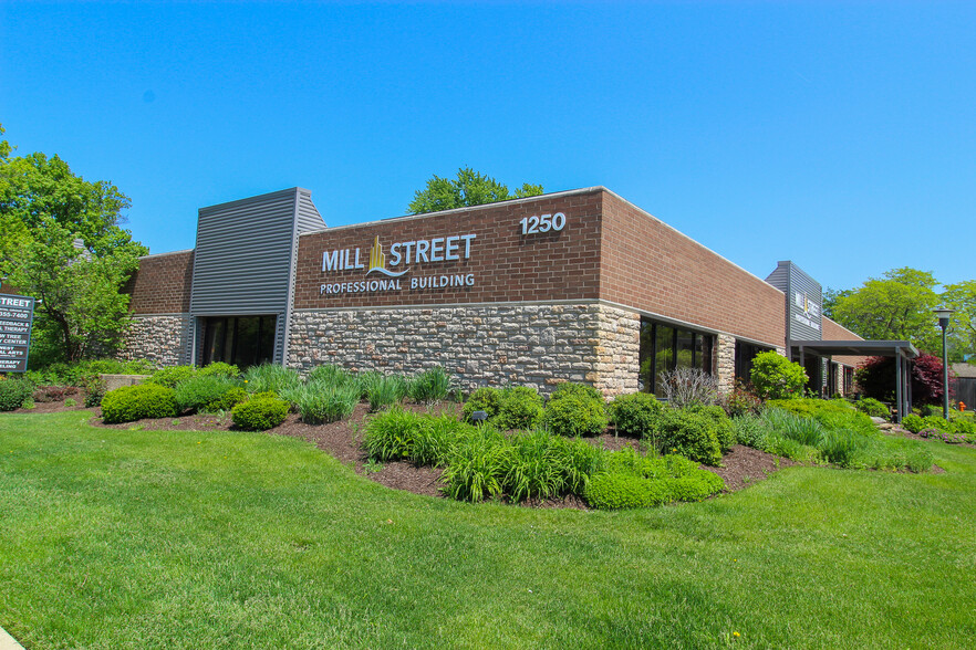 1250 N Mill St, Naperville, IL à louer - Photo de l’immeuble – Image 1 sur 12