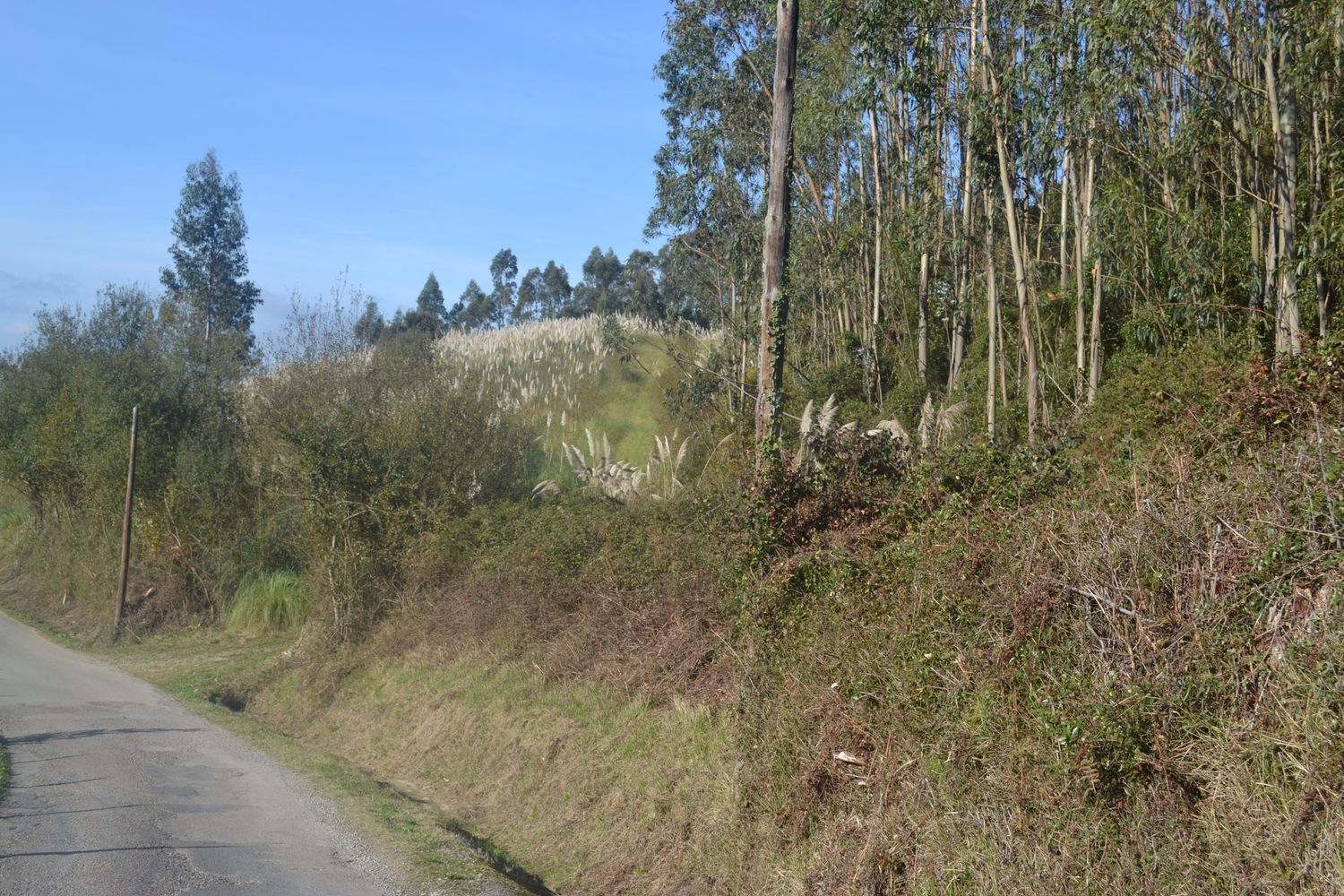 Puga, Llanera, Asturias à vendre Aérien– Image 1 sur 41