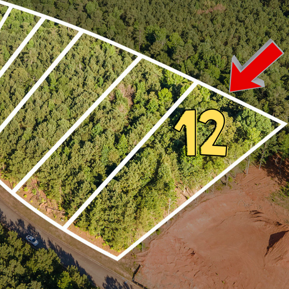 1022 Queens Bridge Way, Griffin, GA à vendre - Aérien – Image 1 sur 14