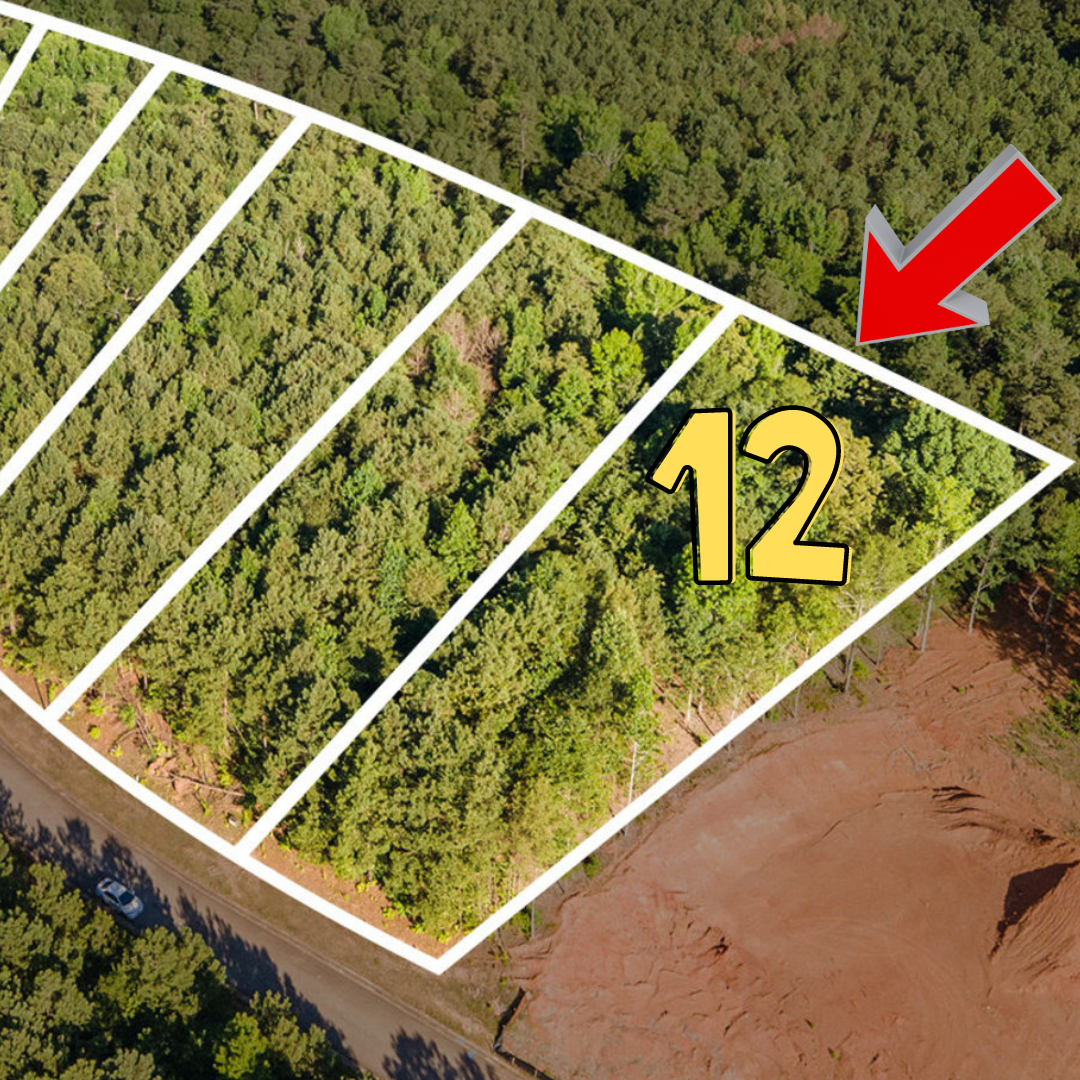 1022 Queens Bridge Way, Griffin, GA à vendre Aérien– Image 1 sur 15
