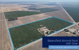 Plus de détails pour 22722 Copus Rd, Bakersfield, CA - Terrain à vendre