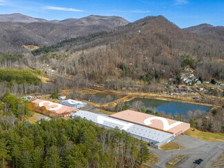 Plus de détails pour 111 Old Bee Tree Rd, Swannanoa, NC - Industriel/Logistique à louer