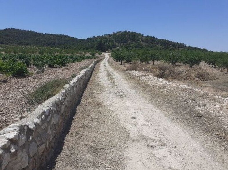 Paraje Sopaire y Cañada de la Leña, 3, Abanilla, Murcia à louer - Photo de l’immeuble – Image 3 sur 14