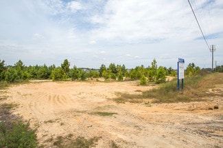 Plus de détails pour Hwy 80, Phenix City, AL - Terrain à vendre