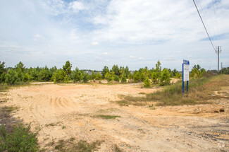 Plus de détails pour Hwy 80, Phenix City, AL - Terrain à vendre