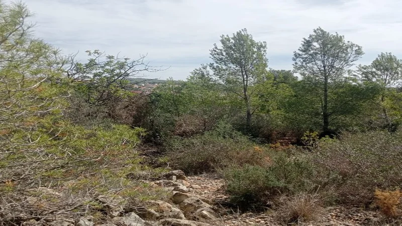 Terrain dans El Vendrell, Tarragona à vendre - Photo principale – Image 2 sur 6
