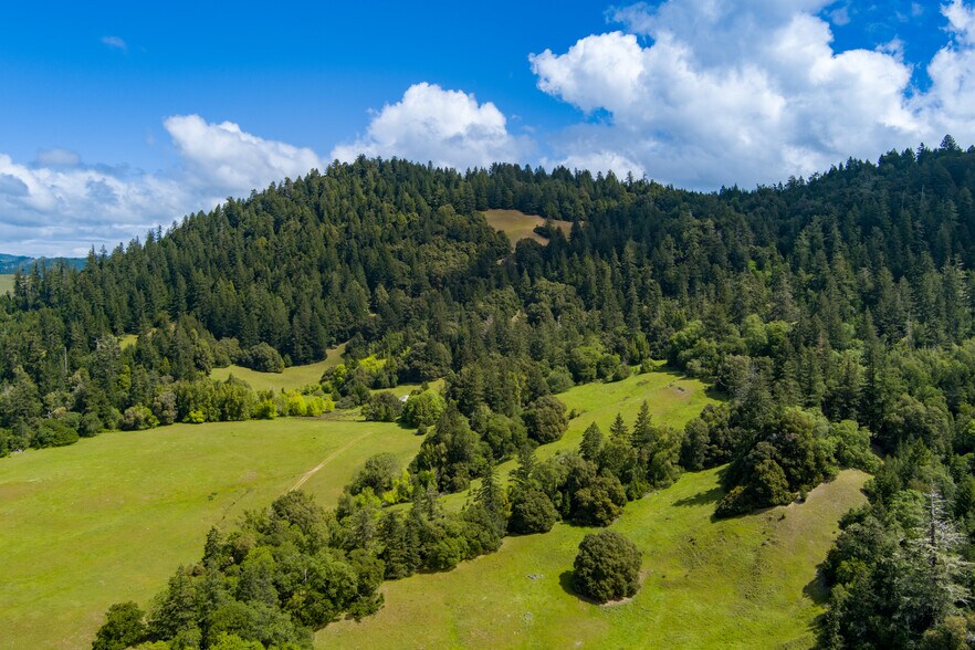 00 Reed Mountain Ranch Road, Garberville, CA à vendre - Photo principale – Image 1 sur 13
