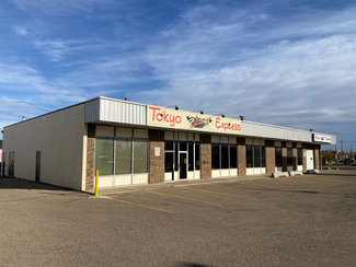 Plus de détails pour 11144 149th St NW, Edmonton, AB - Local commercial, Industriel/Logistique à louer