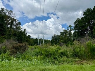 Plus de détails pour 2194 MS-570, Summit, MS - Terrain à vendre
