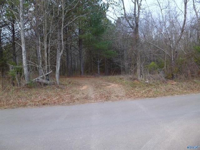 5900 Martin Ave NE, Fort Payne, AL à vendre - Autre – Image 3 sur 9