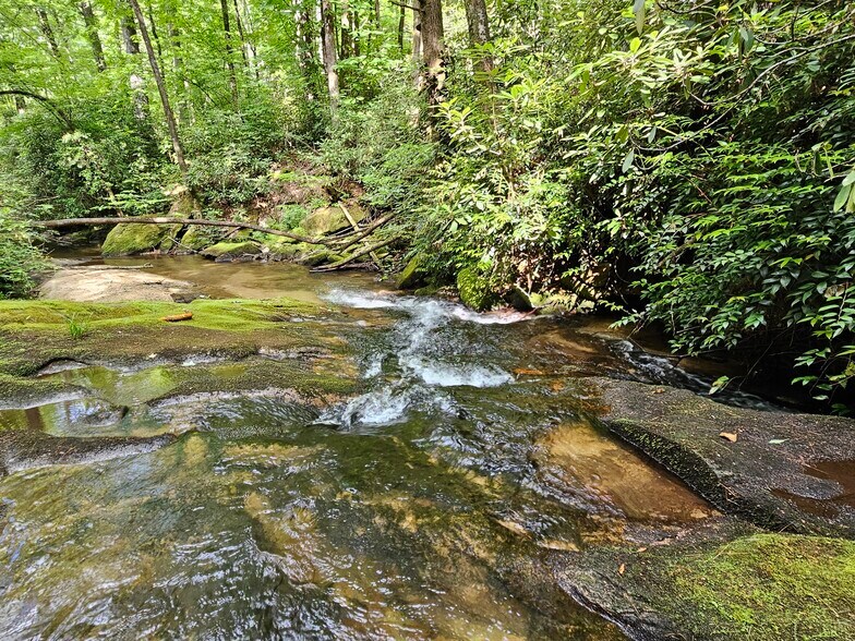 1000 River Ridges Rd, Zirconia, NC à vendre - Photo de l’immeuble – Image 2 sur 8