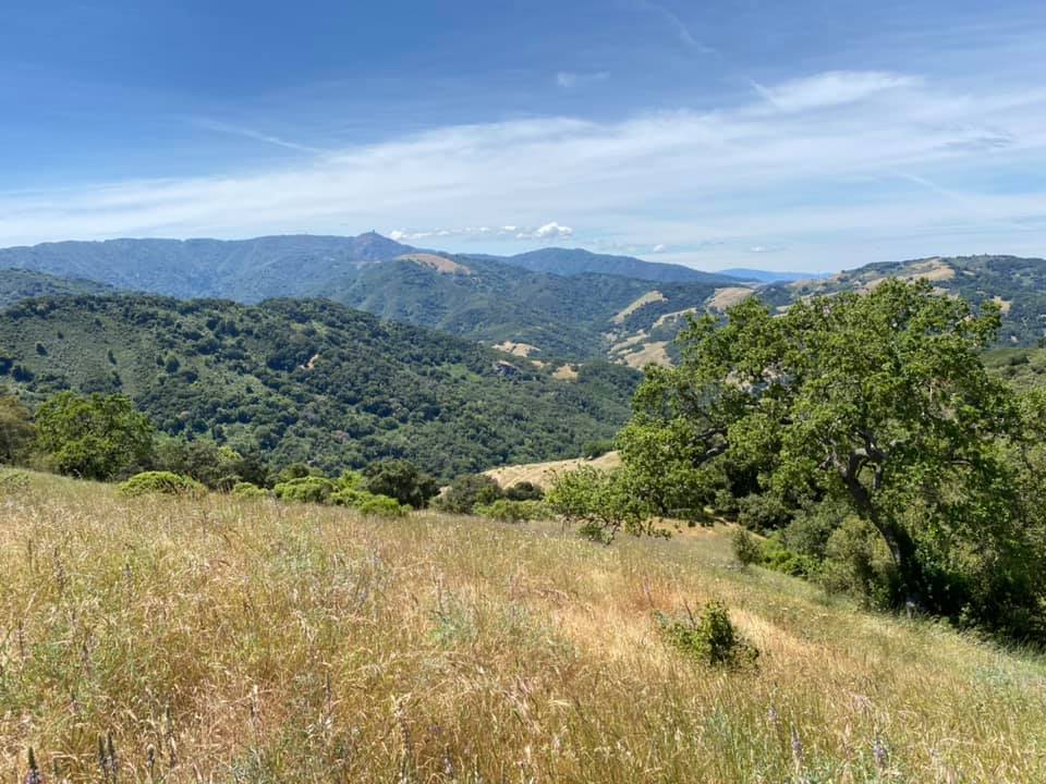 View Photo