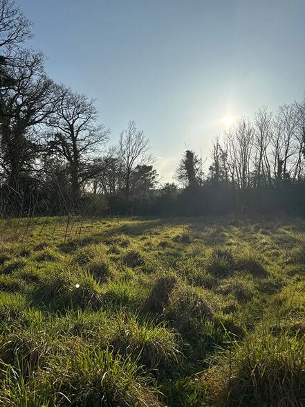 Terrain dans Herbignac à vendre - Photo de l’immeuble – Image 1 sur 3